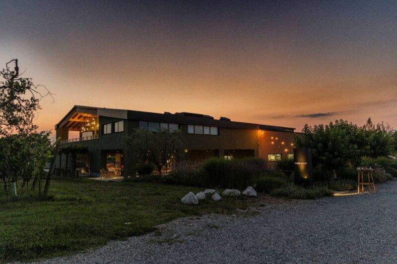 Desenzano: Lugana Wine-Tasting and Vineyard Tour - An In-Depth Look at the Itinerary and Experience