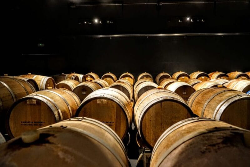 Desenzano: Lugana Wine-Tasting and Vineyard Tour - Who Will Love This Experience?