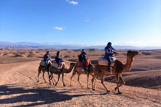 Desert Agafay Dinner Show and Camel Ride With Magical View - Recommendations and Considerations