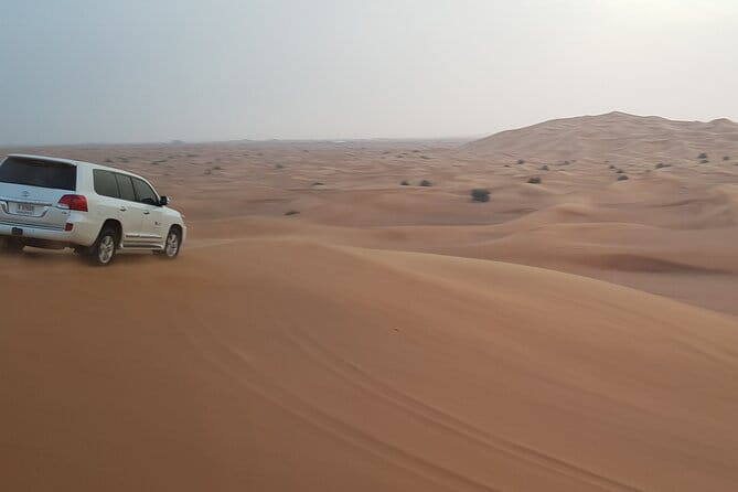 Desert Safari Dubai - Guest Reviews and Ratings
