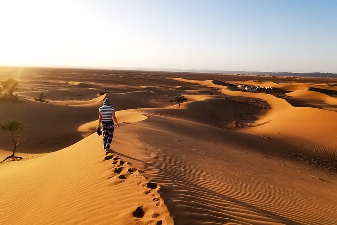 Desert Safari With BBQ Dinner, Quad Ride And And Sand-boarding - Tanura Show Entertainment