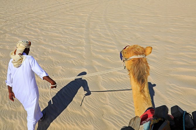 Desert Safari With Camel Ride, Sand Boarding & Inland Sea Tour in Doha - Confirmation and Cancellation Policy