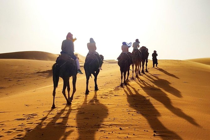Desert Tour Small Group With Luxury Tent - Camel Rides and Dining Inclusions