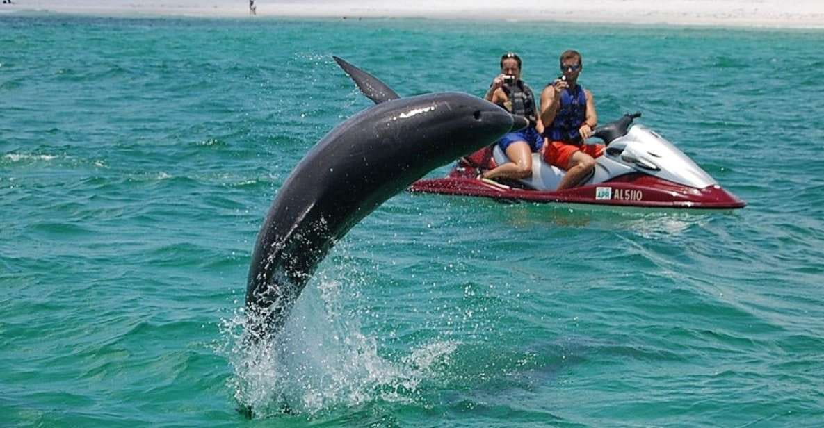 Destin: Crab Island Dolphin Watching Jet Ski Tour - Marine Life Observation