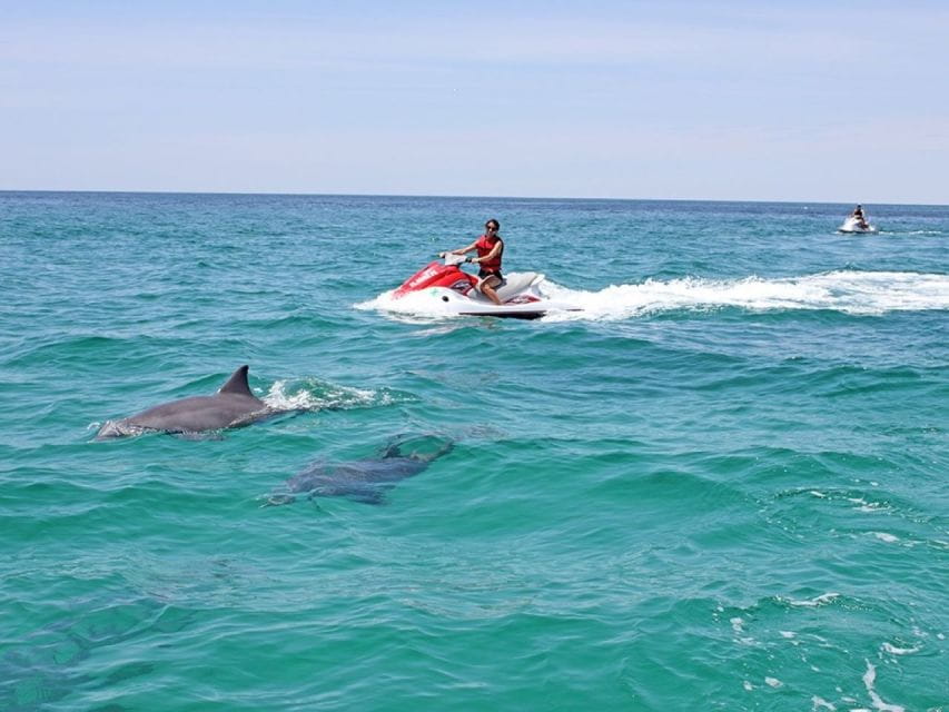 Destin: Crab Island Dolphin Watching Jet Ski Tour - Coastal Scenery Experience