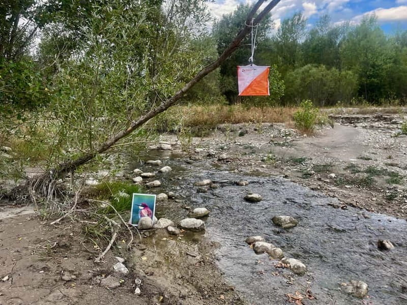 Detective Club: a nature investigation game for the whole family! - Detective Club: A Unique Blend of Nature and Mystery in Provence