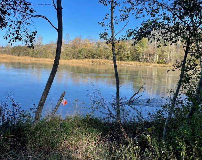 Detective Club: a nature investigation game for the whole family! - The Sum Up: Who Should Consider Detective Club?