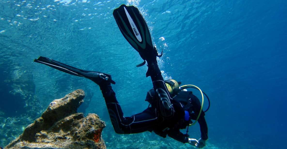 Didim: Scuba Diving Experience W/Hotel Pickup & Lunch - Key Points