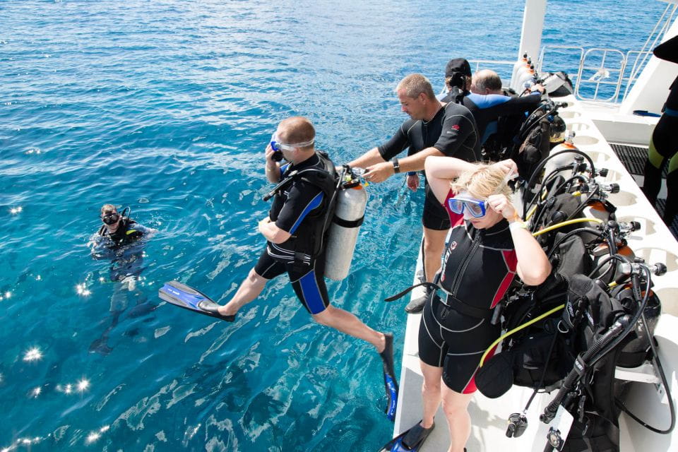 Didim: Scuba Diving Experience W/Hotel Pickup & Lunch - Exploring Underwater Marine Life