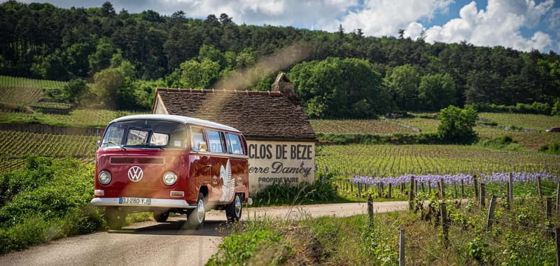 Dijon: Burgundy Small-group Vintage Van Tour - Who Should Consider This Tour?