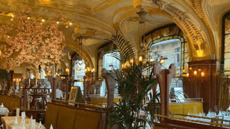 Dijon : gourmet food Tour: Enjoy local delicacies - Logistical Details and Practicalities