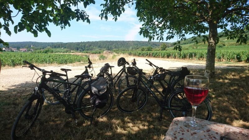 Dijon: Half-Day Guided Gourmet Bike Tour - Who Would Love This?