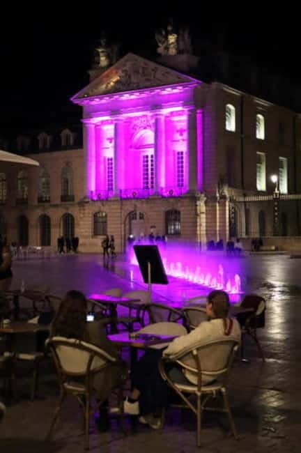 Dijon: Nighttime Tour in French - Who Should Book This Tour?