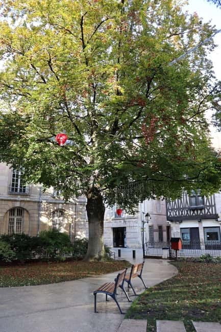 Dijon: Public Art Tour with French-Speaking Guide - An In-Depth Look at the Public Art Tour in Dijon