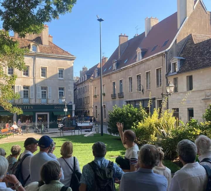 Dijon: Public Art Tour with French-Speaking Guide - Price and Logistics