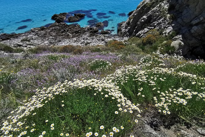 Dinghy Excursion - Exclusive Private Adventure - Booking Confirmation