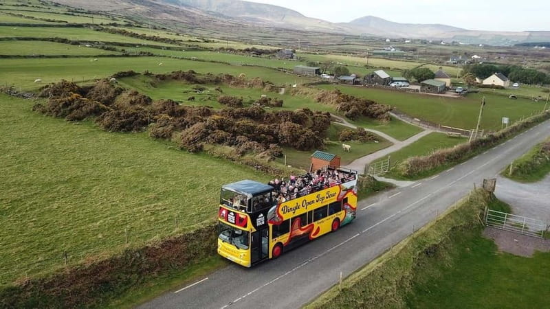Dingle: 3 Hour Open-Top Bus Tour with Multiple Stops - Visiting the Dingle Fairy Fort