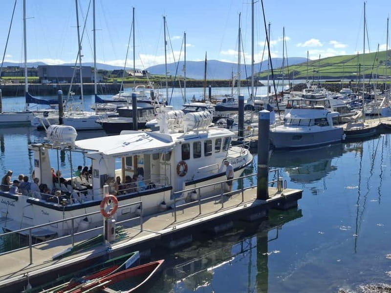 Dingle: Blasket Island Eco Tour with Wildlife Watching - Exploring the Blasket Island Eco Tour in Depth