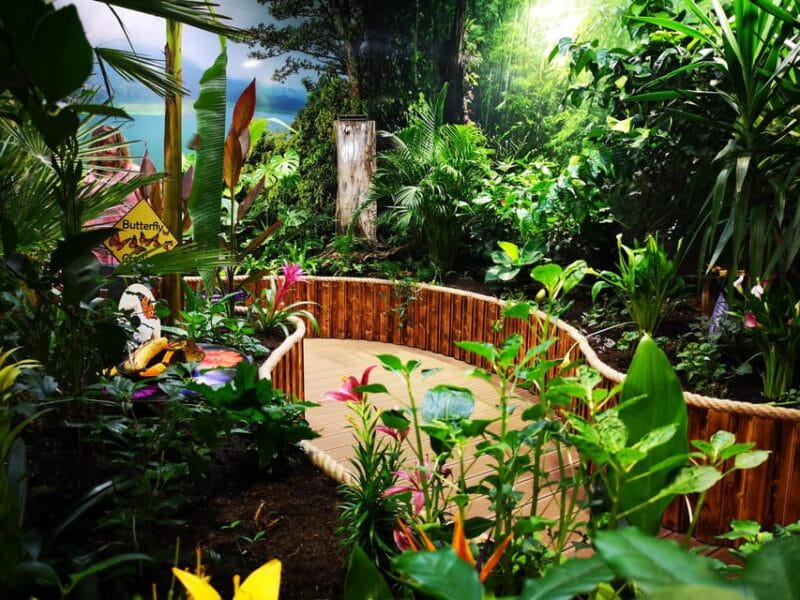 Dingle: Oceanworld Aquarium Admission Ticket - Who Should Visit and Who Might Skip