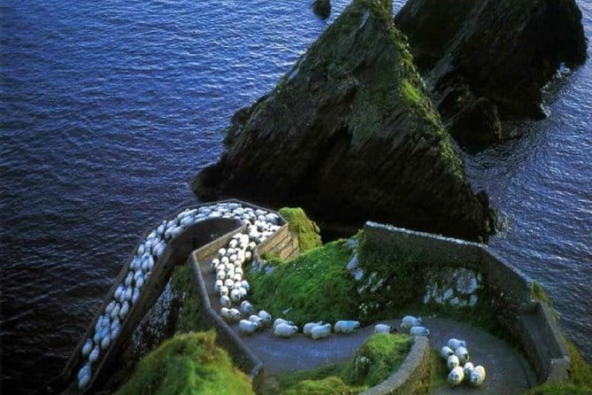 Dingle Peninsula Day Tour from Killarney: Including The Wild Altanic Way - Who Will Love This Tour?