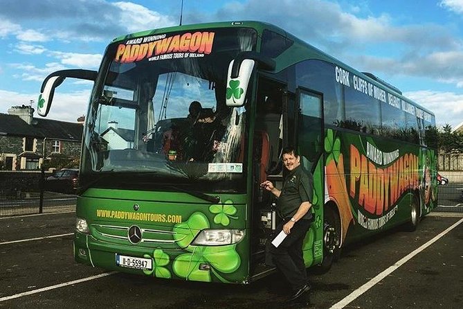 Dingle Peninsula Day Tour From Limerick: Including the Wild Altanic Way - Viewing the Blasket Islands