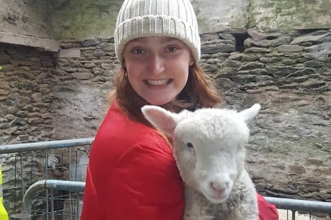 Dingle: Slea Head Drive Tour Full Day - Personal Chauffeur Guide - Fahan BeeHive Huts and the Slea Head Drive: Unique Landmarks