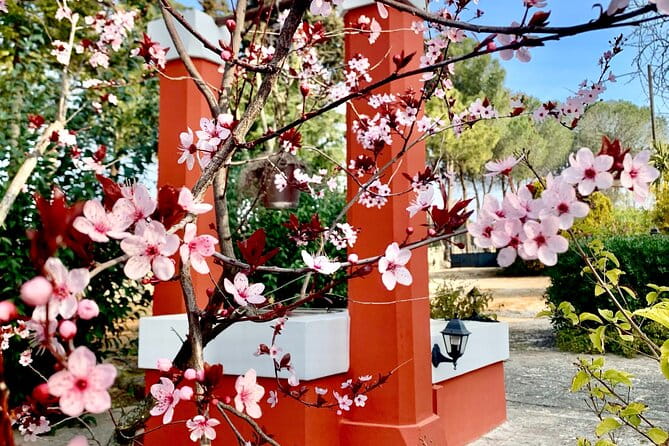 Dinner in Monopoli with the authentic Flavours of Puglia - Frequently Asked Questions