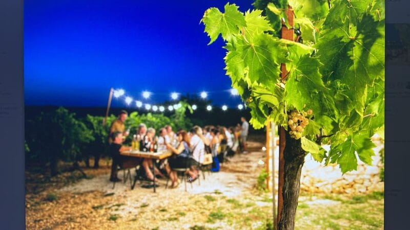 Dinner in the vineyard and wine tasting under the stars - Entering the World of Apulian Flavors and Wines: An Authentic Experience
