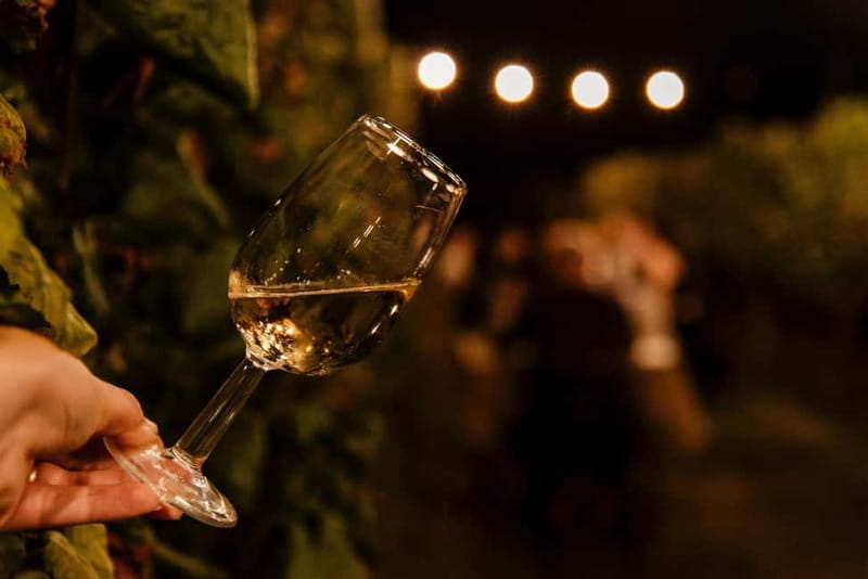 Dinner in the vineyard in Alba with wine tasting aperitif and winery tour - Discovering Alba’s Vineyard Charm: An In-Depth Look at the Experience