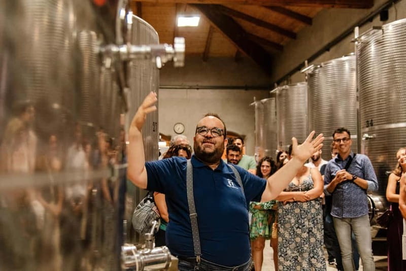 Dinner in the vineyard in Alba with wine tasting aperitif and winery tour - Who Should Consider This Experience?