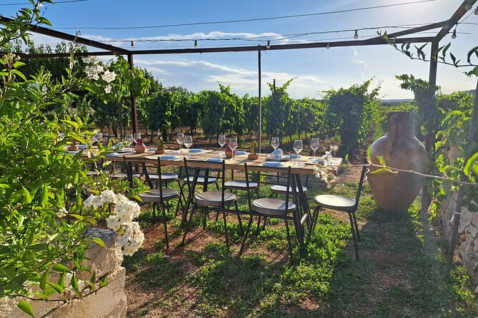 Dinner in the vineyard with wine tasting and walk - The practical aspects