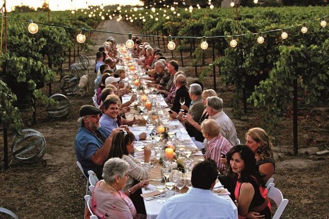 Dinner in the Vineyards - A Closer Look at the Experience
