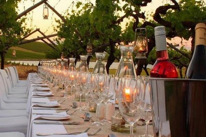 Dinner in the Vineyards - Who Is This Tour Best For?