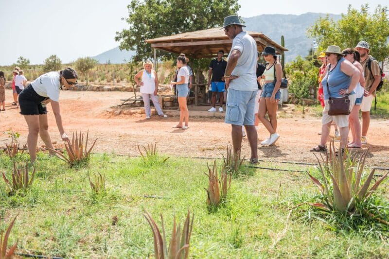 Discover Aloe: A Farm Walk & Workshop - Practical details: What’s included and what’s not