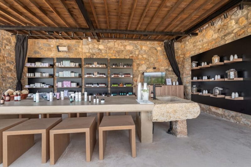 Discover Aloe: A Farm Walk & Workshop - Final thoughts: Who should consider booking?