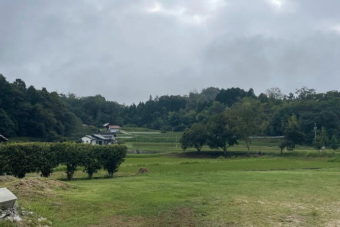 Discover and Traditions of Hiroshima's Mountain Cuisine & Cooking - Key Points
