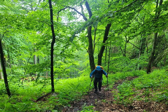 Discover Apuseni Mountains - Scarita Summit, Sipote Waterfall, and Dumesti Village - Accessibility Concerns
