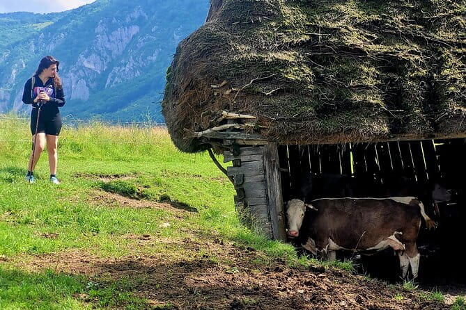 Discover Apuseni Mountains - Scarita Summit, Sipote Waterfall, and Dumesti Village - Traveler Reviews