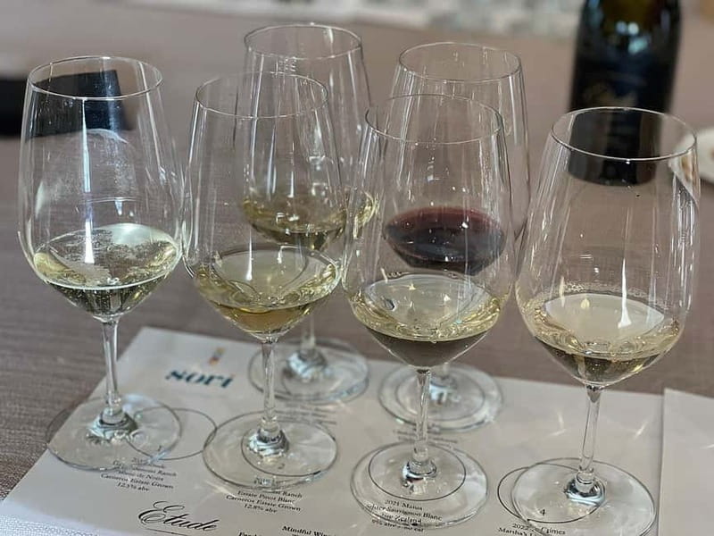 Discover Arrábida: Wine and Scenic Wonders - Detailed Breakdown of the Itinerary