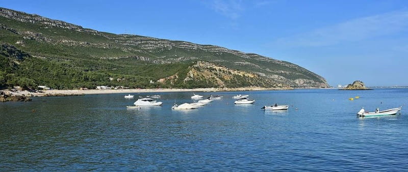 Discover Arrábida: Wine and Scenic Wonders - Price and Logistics: Is It Worth It?