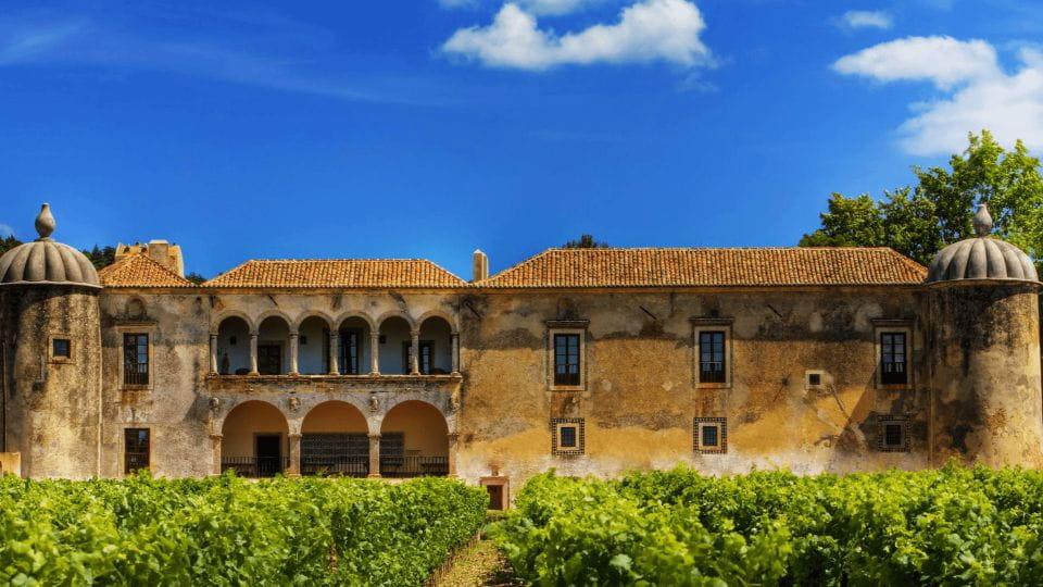Discover Arrábida: Wine and Scenic Wonders - Serra Da Arrábida