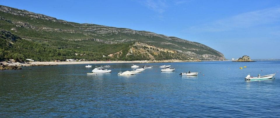 Discover Arrábida: Wine and Scenic Wonders - Setúbal