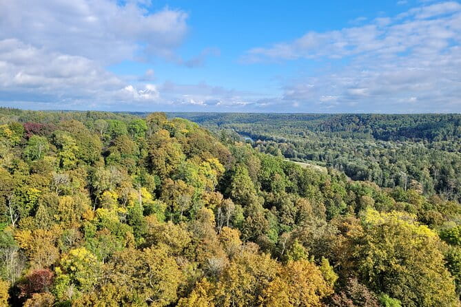 Discover Best Of Gauja National Park In One Day - The Allure of Gauja National Park from Riga