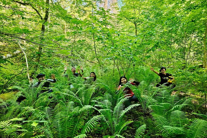 Discover Best Of Gauja National Park In One Day - What’s Included and What to Keep in Mind