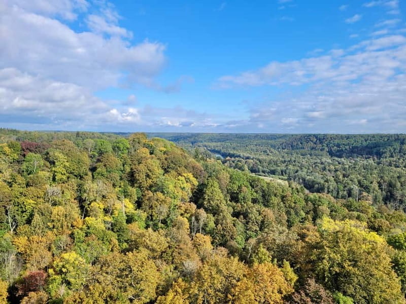Discover Best of Sigulda and Gauja National Park In One Day - Price and Logistics: Is It Worth It?
