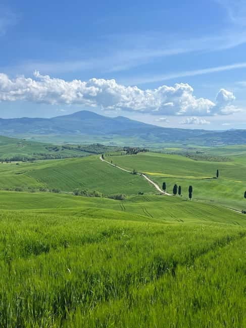 Discover Brunello Wines - The Highlight: Brunello di Montalcino