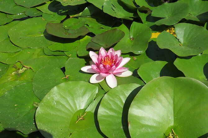 Discover Cliffs and Myths of Bulgarian Northern Black Sea Coast - Pricing and Cancellation Policy