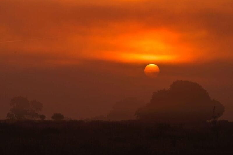 Discover Doñana & Iberian Lynx: Premium Nature Tour - Exploring Doñana & Iberian Lynx: A Practical, Authentic Nature Tour