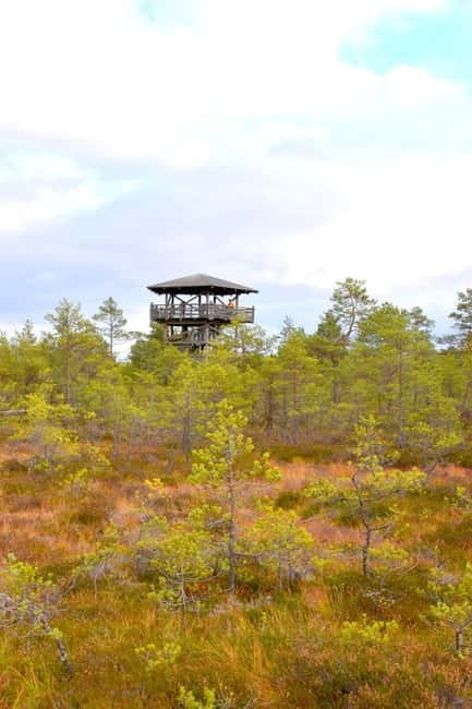 Discover Estoniatour to Lahemaa with waterfalls and nature. - Who Is This Tour Best For?