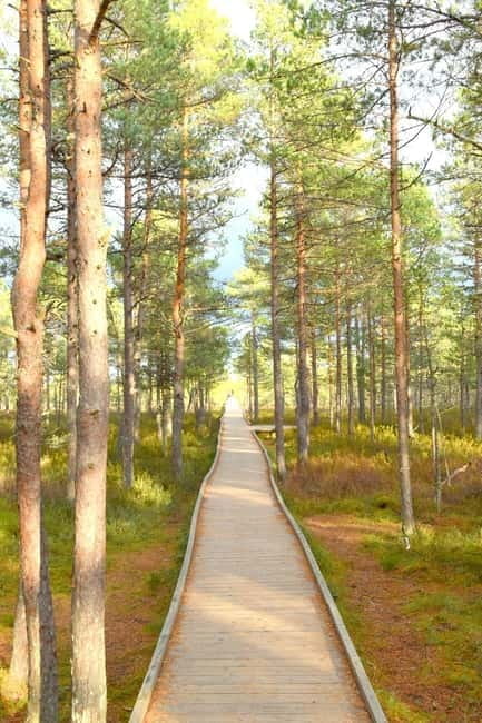 Discover Estoniatour to Lahemaa with waterfalls and nature. - Price and Value